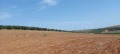 Продава ПАРЦЕЛ, Гърция, Халкидики • 65000 € / 127128.95 лв. • 95719367 2 — Holmes.bg Продава ПАРЦЕЛ, Гърция, Халкидики • 65000 € / 127128.95 лв. • 95719367 2