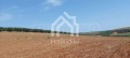 Продава ПАРЦЕЛ, Гърция, Халкидики • 65000 € / 127128.95 лв. • 95719367 8 — Holmes.bg Продава ПАРЦЕЛ, Гърция, Халкидики • 65000 € / 127128.95 лв. • 95719367 8