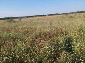 Продава Земеделска земя, с. Новаково
