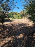 Продава ВИЛА, област Велико Търново, гр. Свищов • 12500 € • 82146972 4 — Holmes.bg Продава ВИЛА, област Велико Търново, гр. Свищов • 12500 € • 82146972 4