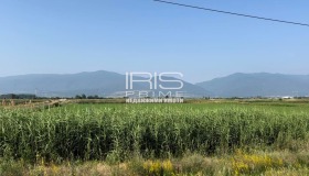 Продава Парцел, гр. Каспичан