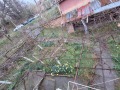 Продава КЪЩА, област Враца, с. Галатин • 14500 € / 28359.53 лв. • 31905654 12 — Holmes.bg Продава КЪЩА, област Враца, с. Галатин • 14500 € / 28359.53 лв. • 31905654 12