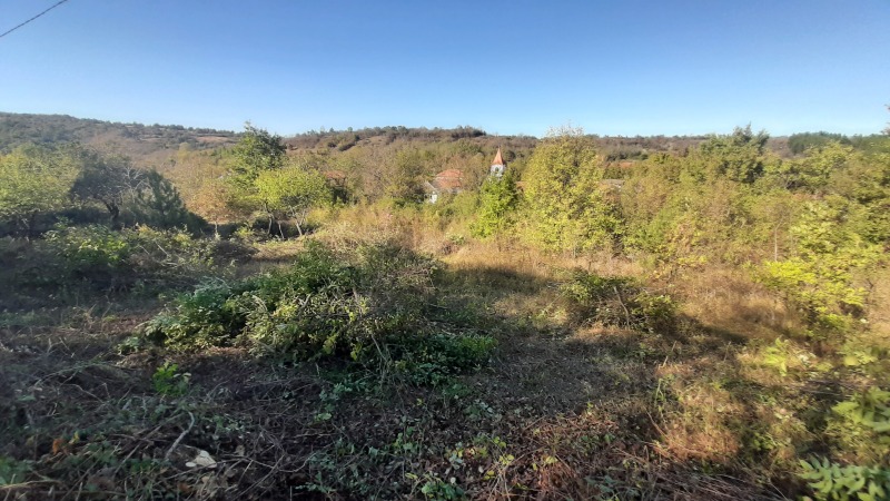Продава ПАРЦЕЛ, област Велико Търново, с. Ялово • 13000 € • 91481222 1 — Holmes.bg Продава ПАРЦЕЛ, област Велико Търново, с. Ялово • 13000 € • 91481222 1