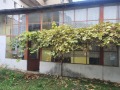 Продава КЪЩА, град Плевен, 9-ти квартал • 65000 € / 127128.95 лв. • 26933382 1 — Holmes.bg Продава КЪЩА, град Плевен, 9-ти квартал • 65000 € / 127128.95 лв. • 26933382 1