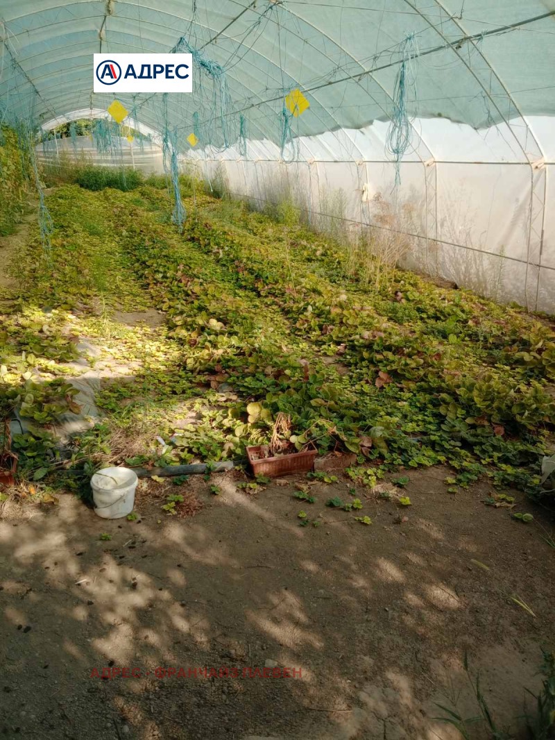 Продава ПАРЦЕЛ, област Плевен, с. Подем • 19500 € • 83016127 1 — Holmes.bg Продава ПАРЦЕЛ, област Плевен, с. Подем • 19500 € • 83016127 1