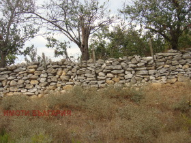 Обява Продава КЪЩА,с. Здравец, област Варна