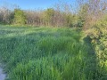 Продава ПАРЦЕЛ, област Враца, гр. Козлодуй • 15000 € • 52123115 6 — Holmes.bg Продава ПАРЦЕЛ, област Враца, гр. Козлодуй • 15000 € • 52123115 6