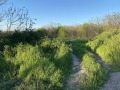Продава ПАРЦЕЛ, област Враца, гр. Козлодуй • 15000 € • 52123115 4 — Holmes.bg Продава ПАРЦЕЛ, област Враца, гр. Козлодуй • 15000 € • 52123115 4
