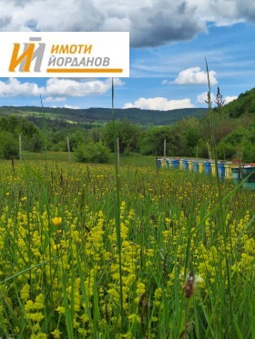 Продава Парцел, с. Войнежа