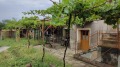 Продава КЪЩА, с. Старо Железаре, област Пловдив, снимка 3 — Bazar.bg Продава КЪЩА, с. Старо Железаре, област Пловдив, снимка 3