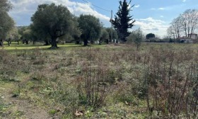 ПАРЦЕЛ, 5 400 m2 - Holmes.bg ПАРЦЕЛ, 5 400 m2