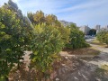 Продава 2-СТАЕН, град Бургас, Изгрев • 130000 € • 35134733 11 — Holmes.bg Продава 2-СТАЕН, град Бургас, Изгрев • 130000 € • 35134733 11