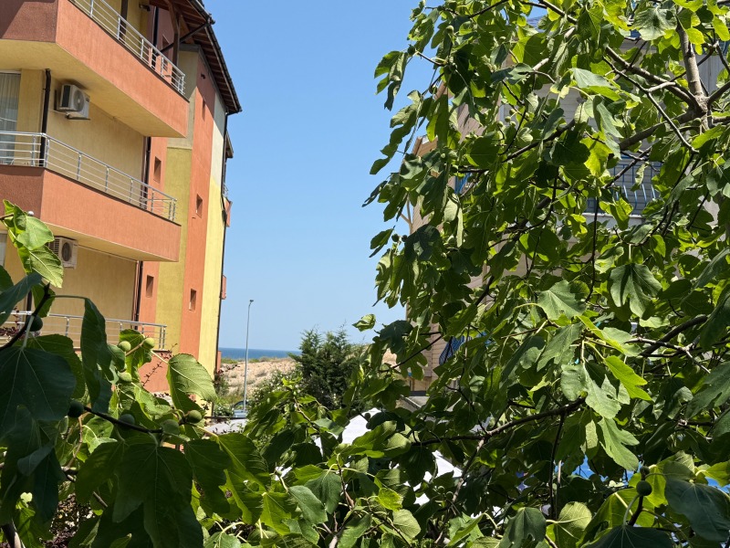Продава 1-СТАЕН, област Бургас, гр. Приморско • 60000 € • 68450847 1 — Holmes.bg Продава 1-СТАЕН, област Бургас, гр. Приморско • 60000 € • 68450847 1