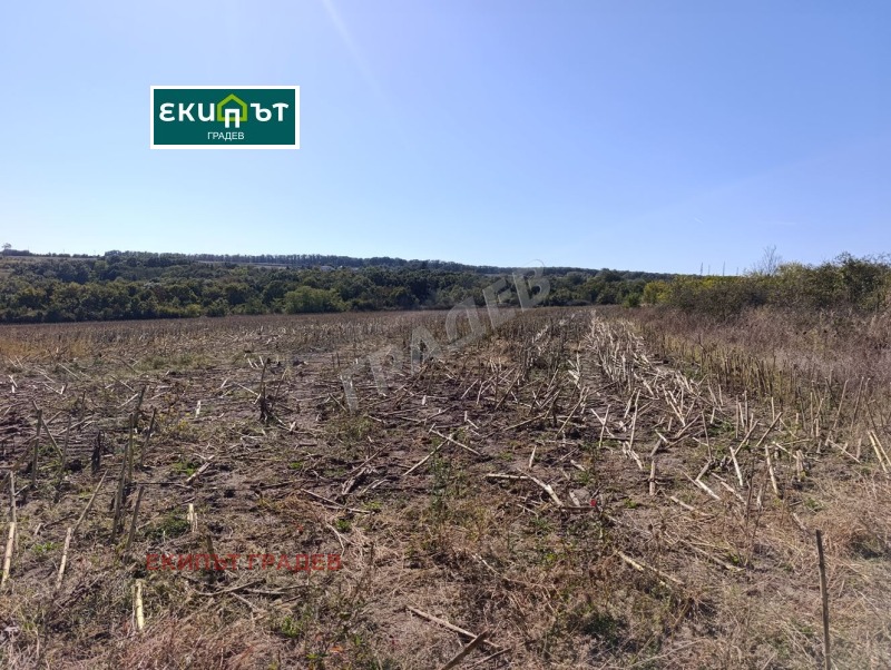Продава ПАРЦЕЛ, област Варна, с. Болярци • 165000 € • 30989721 1 — Holmes.bg Продава ПАРЦЕЛ, област Варна, с. Болярци • 165000 € • 30989721 1