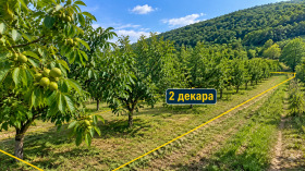 Снимка Продава ЗЕМЕДЕЛСКА ЗЕМЯ