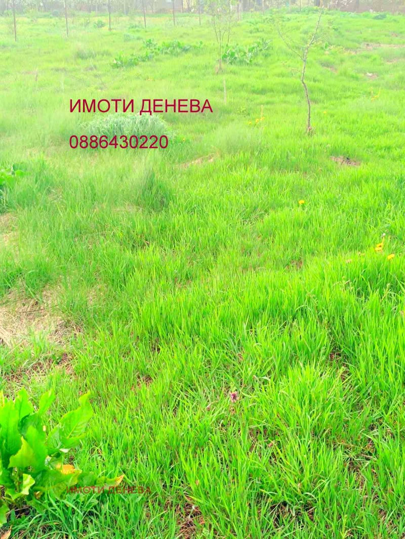 Продава ПАРЦЕЛ, област Добрич, с. Безводица • 14500 € / 28359.53 лв. • 46740841 1 — Holmes.bg Продава ПАРЦЕЛ, област Добрич, с. Безводица • 14500 € / 28359.53 лв. • 46740841 1