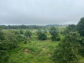 Продава ПАРЦЕЛ, град Варна, м-т Перчемлията • 50000 € / 97791.50 лв. • 74481643 3 — Holmes.bg Продава ПАРЦЕЛ, град Варна, м-т Перчемлията • 50000 € / 97791.50 лв. • 74481643 3