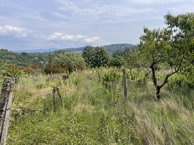 Продава Земеделска земя, с. Кукорево