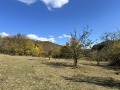 Продава КЪЩА, област София, гр. Етрополе • 106000 € • 81919263 1 — Holmes.bg Продава КЪЩА, област София, гр. Етрополе • 106000 € • 81919263 1