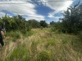 Продава КЪЩА, област Варна, с. Доброплодно • 32000 € • 40004126 7 — Holmes.bg Продава КЪЩА, област Варна, с. Доброплодно • 32000 € • 40004126 7