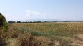 Продава ПАРЦЕЛ, град София, Кремиковци • 950000 € / 1858038.50 лв. • 64587770 2 — Holmes.bg Продава ПАРЦЕЛ, град София, Кремиковци • 950000 € / 1858038.50 лв. • 64587770 2