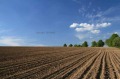 Продава Парцел област Перник , с. Стефаново , 684 кв.м | 76158969 — Imoti.com Продава Парцел област Перник , с. Стефаново , 684 кв.м | 76158969