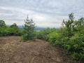 Продава Парцел град София , с. Герман , 492 кв.м | 77560475 — Imoti.com Продава Парцел град София , с. Герман , 492 кв.м | 77560475