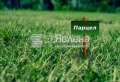 Продава ПАРЦЕЛ, област Добрич, гр. Балчик • 45000 € / 88012.35 лв. • 71784623 1 — Holmes.bg Продава ПАРЦЕЛ, област Добрич, гр. Балчик • 45000 € / 88012.35 лв. • 71784623 1