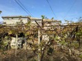 Продава КЪЩА, област Шумен, с. Тръница • 40000 € • 84639429 10 — Holmes.bg Продава КЪЩА, област Шумен, с. Тръница • 40000 € • 84639429 10