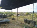 Продава КЪЩА, област Шумен, с. Тръница • 40000 € • 84639429 6 — Holmes.bg Продава КЪЩА, област Шумен, с. Тръница • 40000 € • 84639429 6