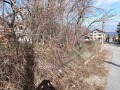 Продава ПАРЦЕЛ, град София, Драгалевци • 400000 € / 782332.00 лв. • 87781483 5 — Holmes.bg Продава ПАРЦЕЛ, град София, Драгалевци • 400000 € / 782332.00 лв. • 87781483 5