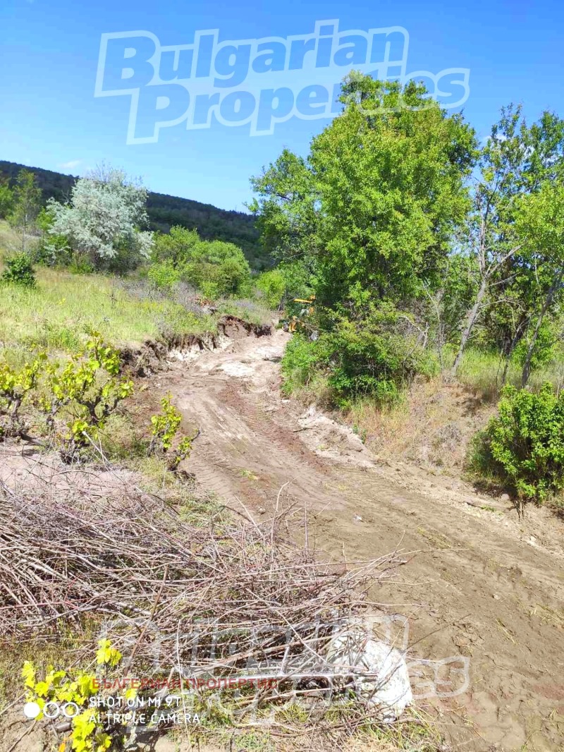 Продава ПАРЦЕЛ, област Варна, гр. Игнатиево • 49000 € / 95835.67 лв. • 34588184 1 — Holmes.bg Продава ПАРЦЕЛ, област Варна, гр. Игнатиево • 49000 € / 95835.67 лв. • 34588184 1