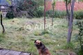 Продава КЪЩА, област Бургас, с. Съединение • 40500 € / 79211.12 лв. • 19685100 12 — Holmes.bg Продава КЪЩА, област Бургас, с. Съединение • 40500 € / 79211.12 лв. • 19685100 12