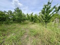 Продава ПАРЦЕЛ, град Русе, в.з. Астарджийка • 60000 € / 117349.80 лв. • 50748855 2 — Holmes.bg Продава ПАРЦЕЛ, град Русе, в.з. Астарджийка • 60000 € / 117349.80 лв. • 50748855 2