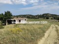 Продава Земеделска земя област Благоевград , с. Делвино , 3.115 дка | 61764063 — Imoti.com Продава Земеделска земя област Благоевград , с. Делвино , 3.115 дка | 61764063