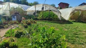 Продава КЪЩА | Imot.bg — малка снимка 7