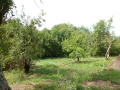 Продава КЪЩА, област Перник, с. Бохова • 30000 € / 58674.90 лв. • 37926551 6 — Holmes.bg Продава КЪЩА, област Перник, с. Бохова • 30000 € / 58674.90 лв. • 37926551 6