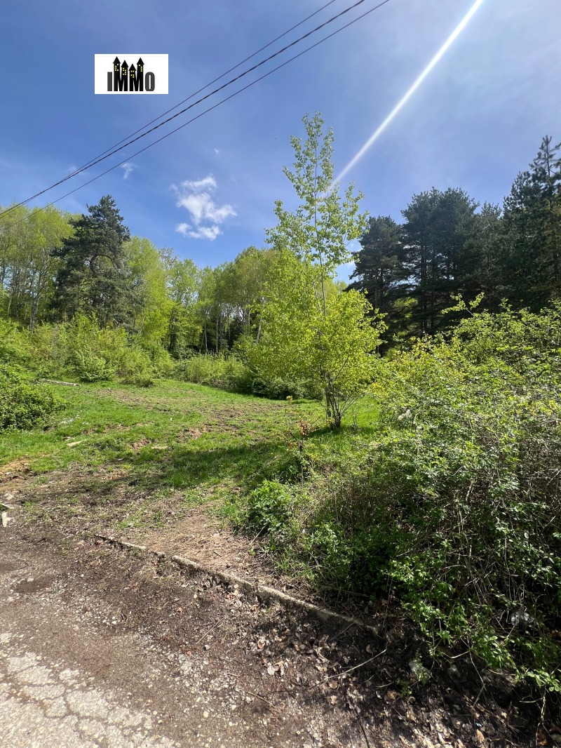 Продава ПАРЦЕЛ, град София, с. Владая • 2064000 € • 24652675 1 — Holmes.bg Продава ПАРЦЕЛ, град София, с. Владая • 2064000 € • 24652675 1