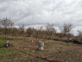 Продава КЪЩА, област Ямбол, с. Палаузово • 35000 € • 42048268 15 — Holmes.bg Продава КЪЩА, област Ямбол, с. Палаузово • 35000 € • 42048268 15