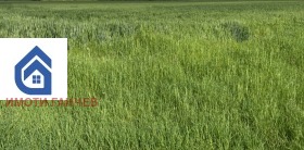 Снимка Продава ЗЕМЕДЕЛСКА ЗЕМЯ