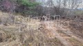 Продава ПАРЦЕЛ, град София, с. Железница • 42665 € • 49621236 15 — Holmes.bg Продава ПАРЦЕЛ, град София, с. Железница • 42665 € • 49621236 15