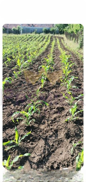 ПАРЦЕЛ, 1 100 m2 - Holmes.bg ПАРЦЕЛ, 1 100 m2