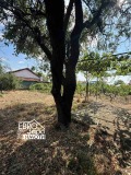 Продава КЪЩА, град Стара Загора, м-т Голеш • 43000 € / 84100.69 лв. • 51319084 4 — Holmes.bg Продава КЪЩА, град Стара Загора, м-т Голеш • 43000 € / 84100.69 лв. • 51319084 4