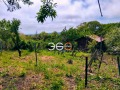 Продава КЪЩА, град Варна, м-т Боровец - юг • 85000 € • 53301446 1 — Holmes.bg Продава КЪЩА, град Варна, м-т Боровец - юг • 85000 € • 53301446 1