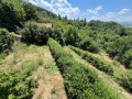 Продава КЪЩА, област Бургас, с. Китка • 47000 € / 91924.01 лв. • 56553569 11 — Holmes.bg Продава КЪЩА, област Бургас, с. Китка • 47000 € / 91924.01 лв. • 56553569 11