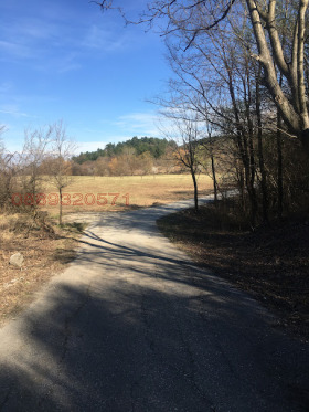 Обява Продава ЗЕМЕДЕЛСКА ЗЕМЯ,с. Руен, област Пловдив