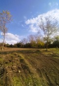 Продава ПАРЦЕЛ, област Търговище, гр. Попово • 25000 € • 57316210 1 — Holmes.bg Продава ПАРЦЕЛ, област Търговище, гр. Попово • 25000 € • 57316210 1