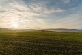 Продава Земеделска земя област Добрич , с. Царичино , 2.5 дка | 96530511 — Imoti.com Продава Земеделска земя област Добрич , с. Царичино , 2.5 дка | 96530511