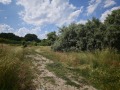 Продава ПАРЦЕЛ, област Бургас, к.к. Слънчев бряг • 105000 € • 37222218 4 — Holmes.bg Продава ПАРЦЕЛ, област Бургас, к.к. Слънчев бряг • 105000 € • 37222218 4