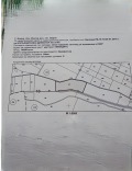 Продава Земеделска земя област Варна , с. Бояна , 15 дка | 82145619 — Imoti.com Продава Земеделска земя област Варна , с. Бояна , 15 дка | 82145619